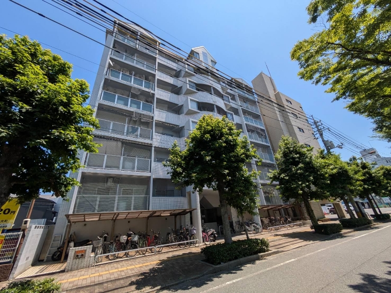 アルファ枝川