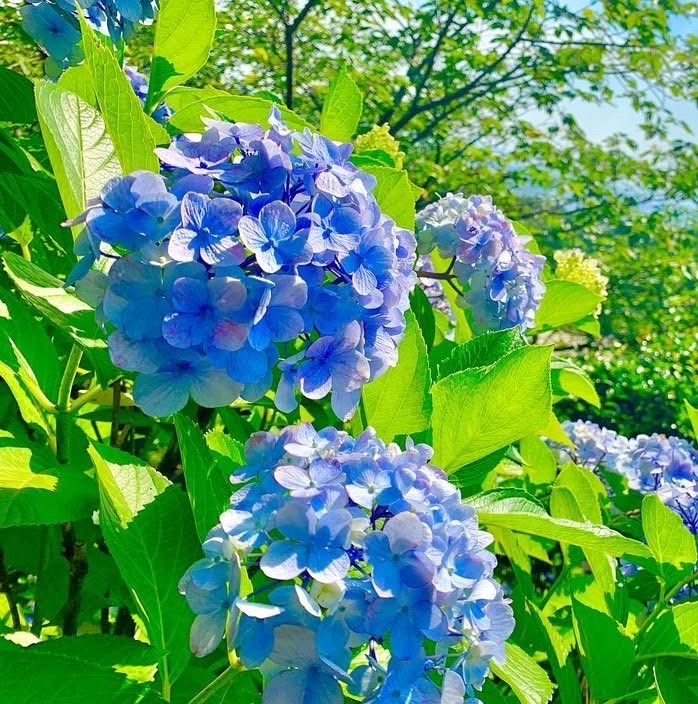 私の都合に合わせて頂き感謝の言葉しかありません