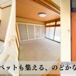 中古住宅を購入してリフォーム。収納力とデザイン性を高め、家族やペットも集える快適な住まいに